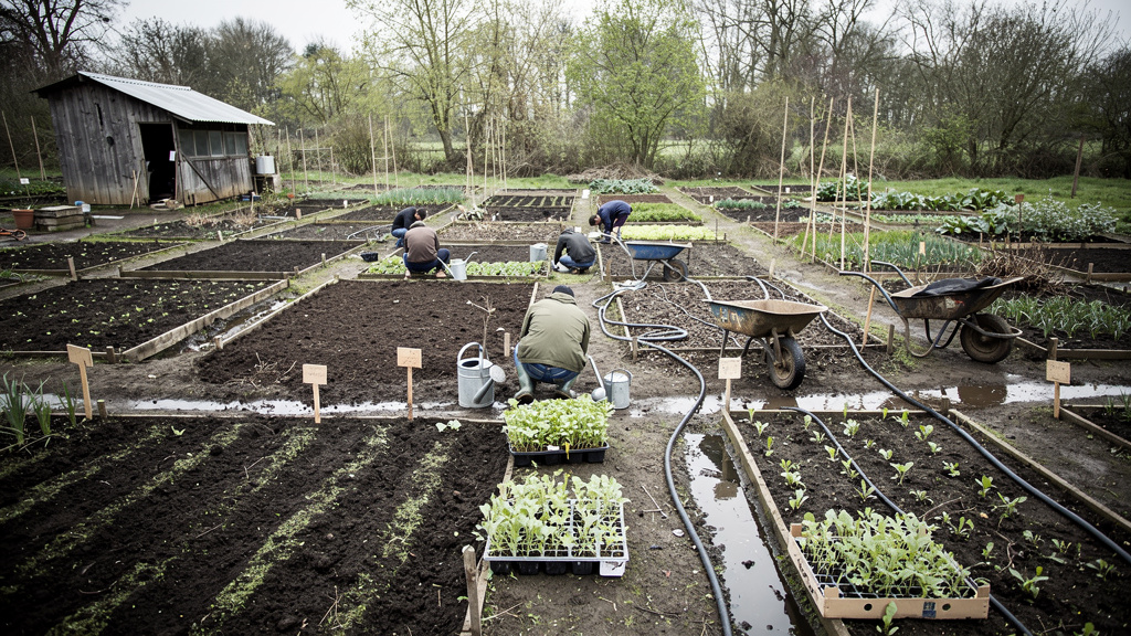 Иллюстрация: Апрель в огороде: что сеять и сажать