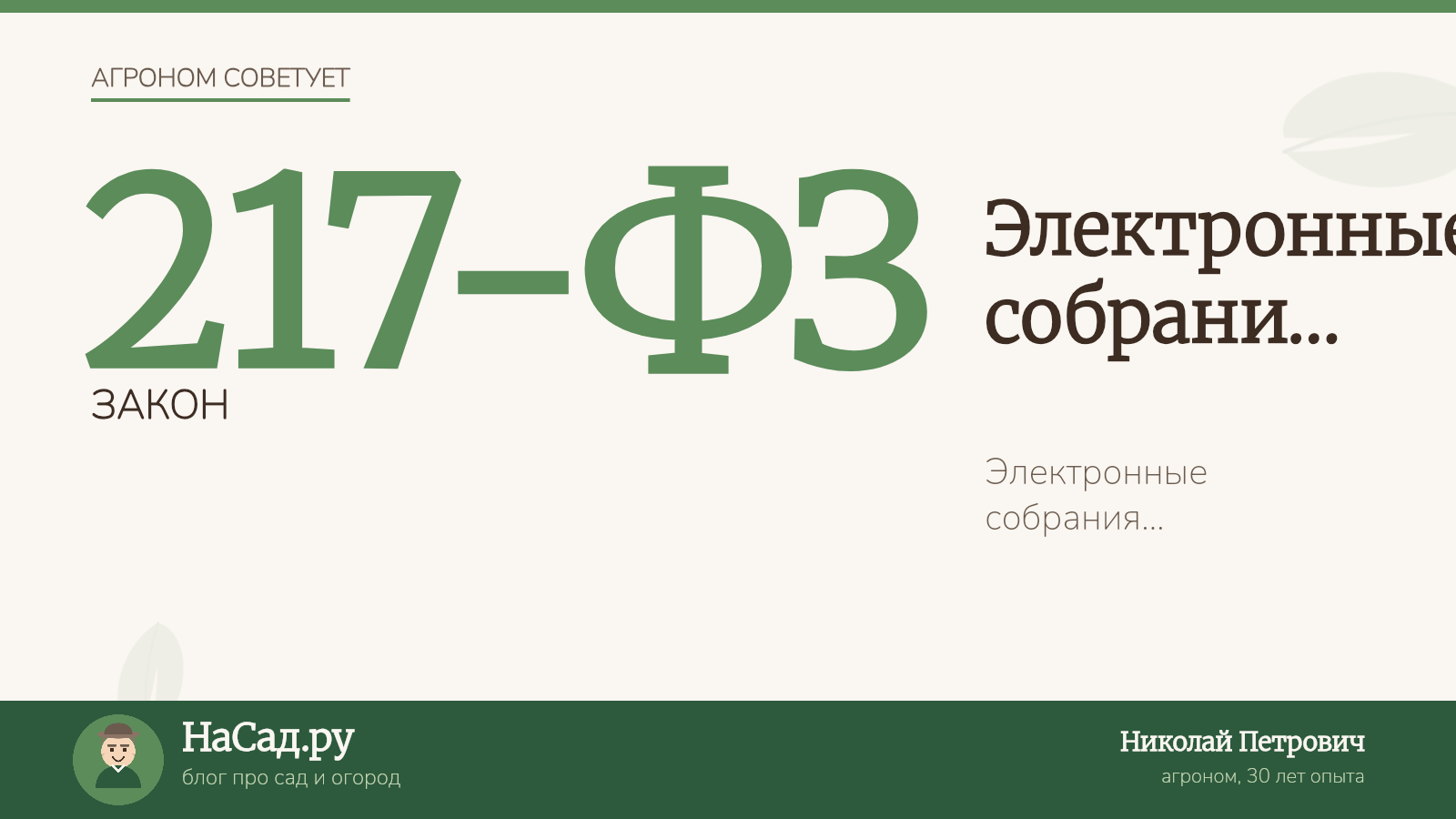 Электронные собрания СНТ в 2026: как организовать и провести голосование