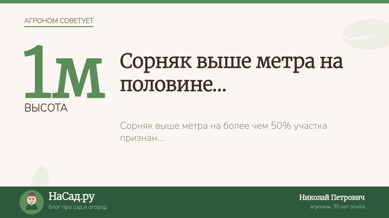 Сорняк выше метра на половине участка: нарушение ФЗ 294 и штрафы 2026